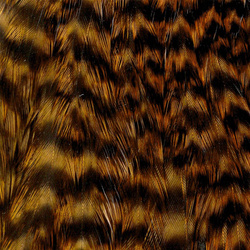 Collo di gallina Wapsi Grizzly