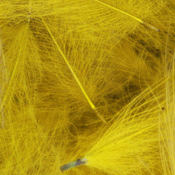FFGene CDC Color Jambo, confezione di piume - 1 gr