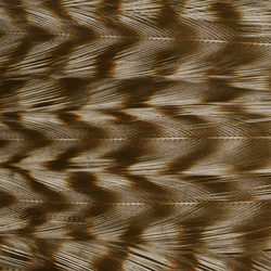 Ewing Deceiver Patch Dyed