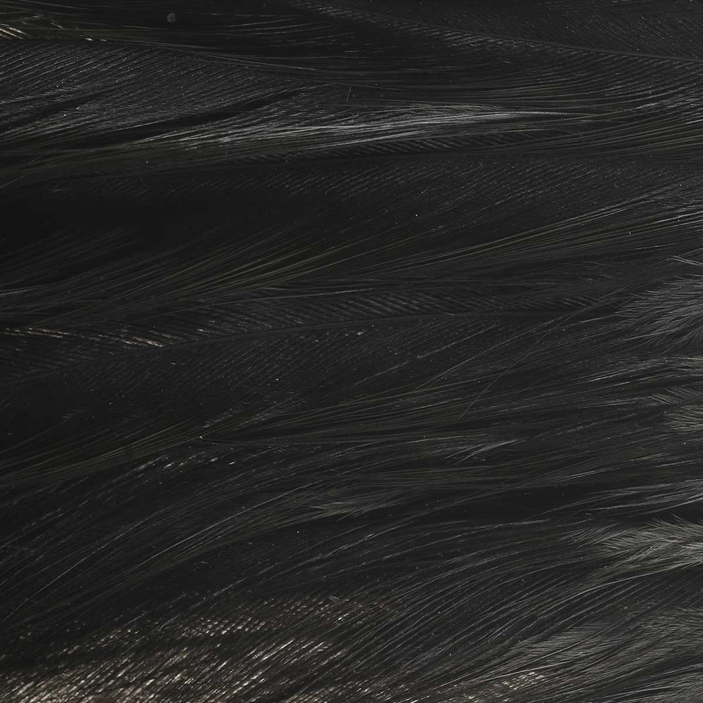 Over White - Black