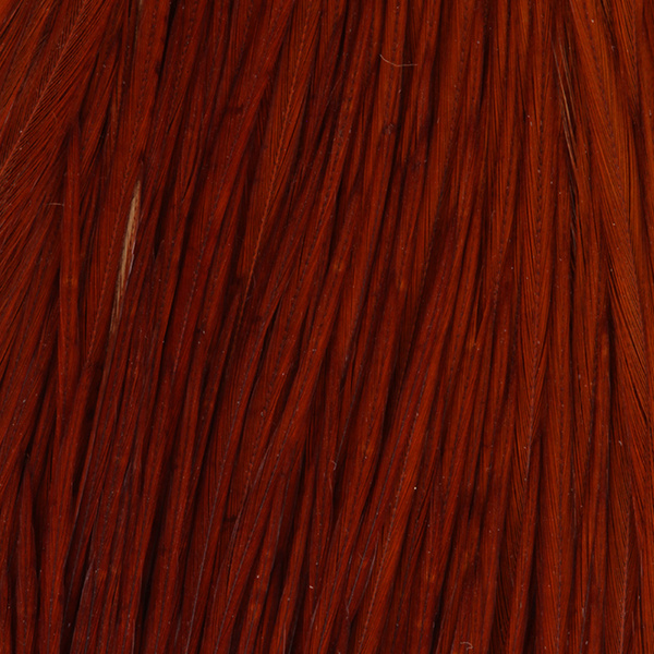 Collo di gallo FFGene Howard Hackle #3
