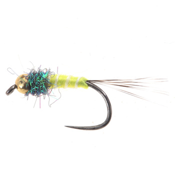 Ninfa a coda gialla BH in tungsteno