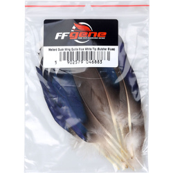 FFGene Remiganti blu di germano reale con punta White (Butcher Blues)