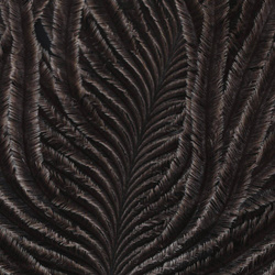 Hareline Barbe di struzzo