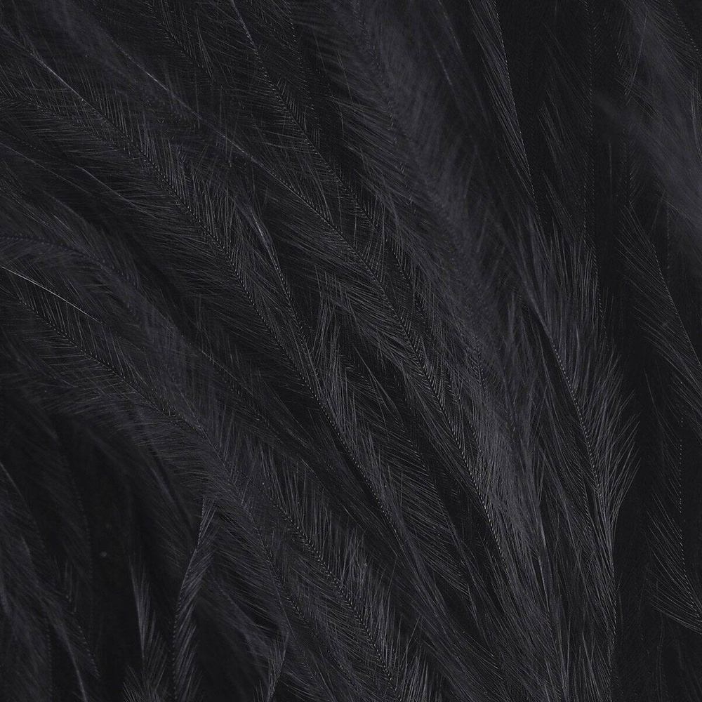 Black Raven