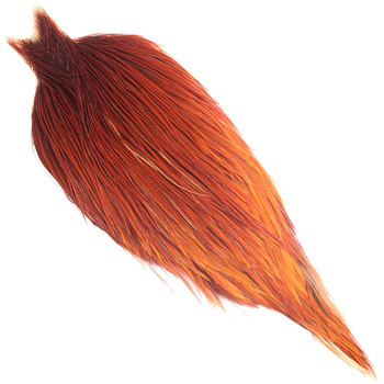 Collo di gallo Whiting Hebert Bronze