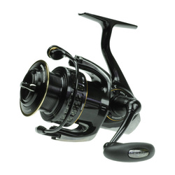 Daiwa Morethan Branzino 3000 | Pesca a mosca  Accessori da