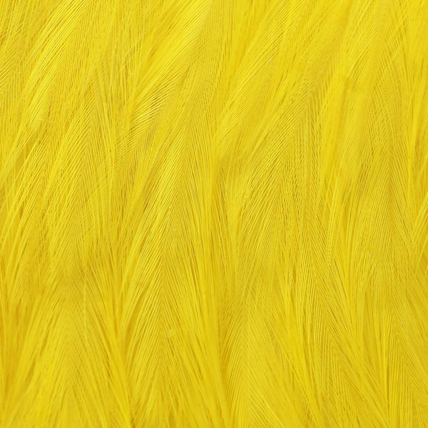 Collo di gallo per mosche secche Wapsi