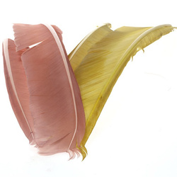Hareline Biot di tacchino