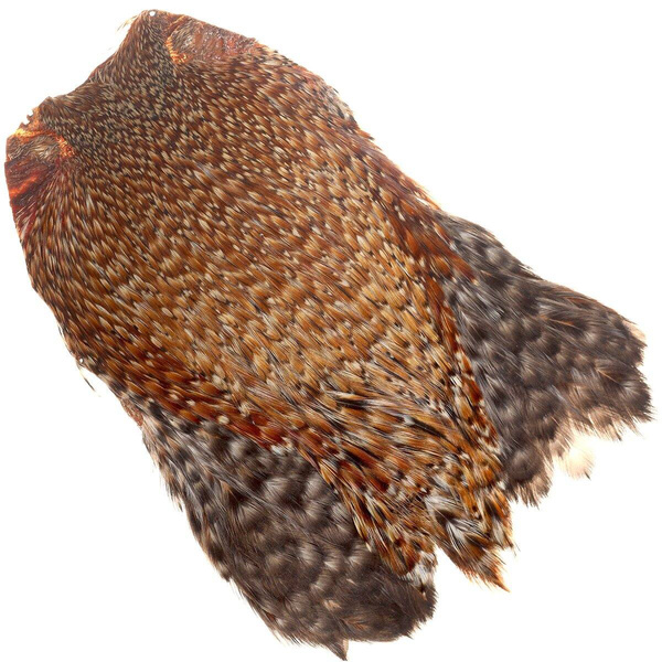 FFGene India Cock Cape Class AA