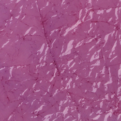 Sybai Schiuma fine per dorso e ali