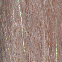 H2O Flash N Slinky 12 inch (flash)