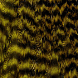 Collo di gallina Wapsi Grizzly