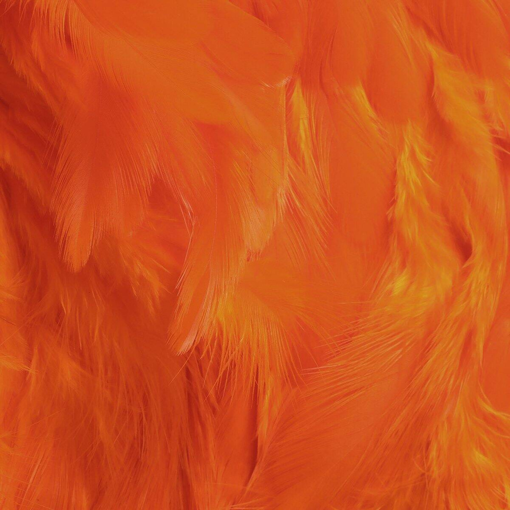 Hot Orange
