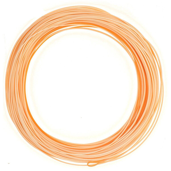 Coda di topo Negnon Omega Orionis Hyper Nymph