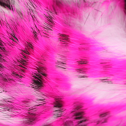 Hareline Strisce zonker di coniglio Tiger Barred