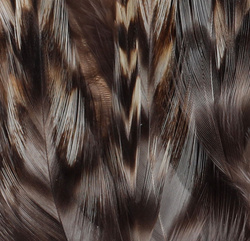 FFGene Piume da hackle del collo di gallo