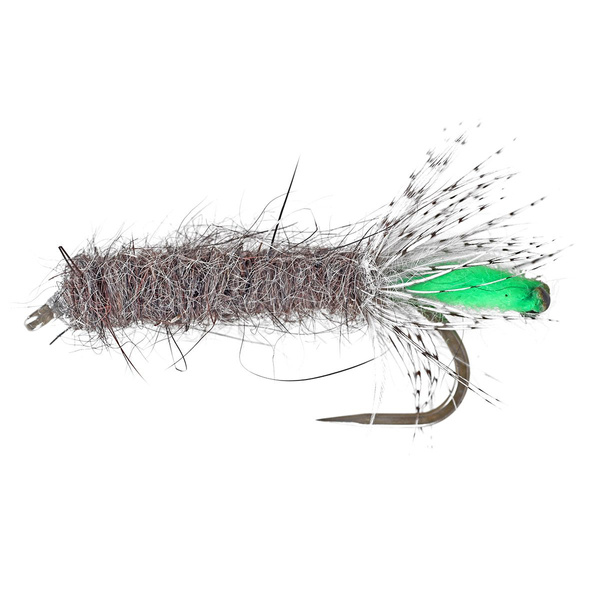 PL Caddis Case testa verde Ninfa