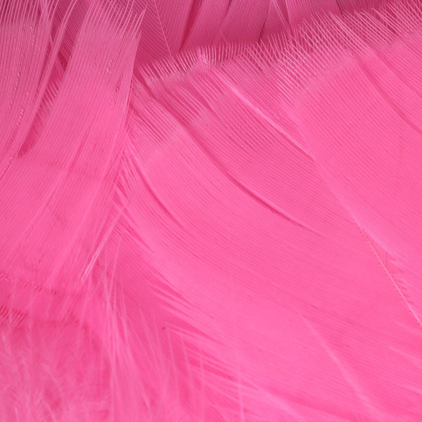 Hareline Piume per hackle di sostegno Intruder