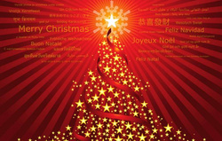 Canna da mosca Sage SLT