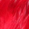 Fluoro Red