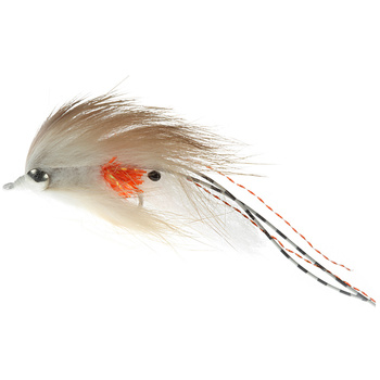 Gambe di coniglio tarrantula