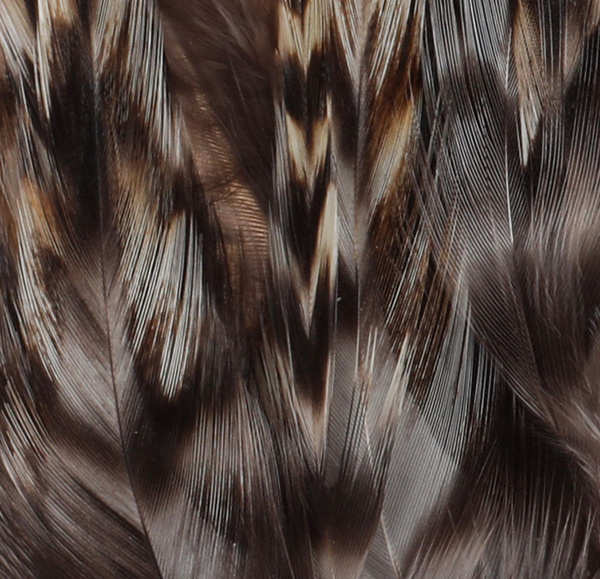 FFGene Piume da hackle del collo di gallo