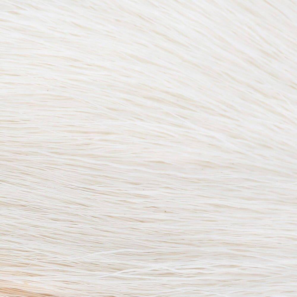 Bleached White