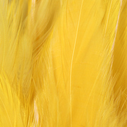 FFGene Hackle di sella di gallo in mazzo