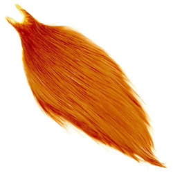 Collo di gallo Metz #3