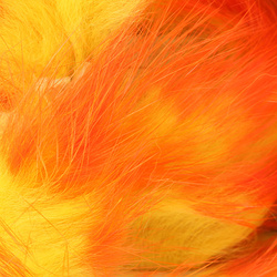 Hareline Strisce di pelle di coniglio con pelo a taglio trasversale Two Toned