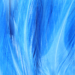 FFGene Hackle di sella di gallo in mazzo