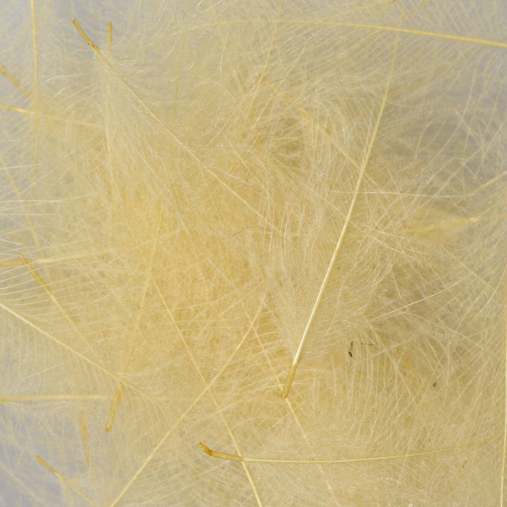 Light Yellow