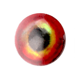 Occhi per mosche H2O Lightweight Rainbow Dumbells