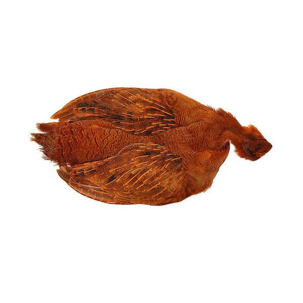 FFGene Pernice Ungherese Colore Pelle