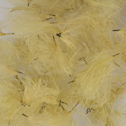 Hareline Piumini CDC Oiler Puffs