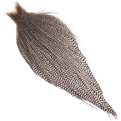 Collo di gallo Whiting Bronze