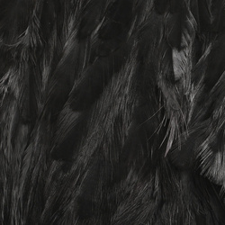 Hareline Pezza di pelle con piume soft hackle e marabù