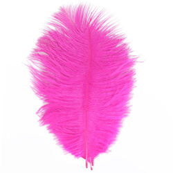 FFGene Piume hackle di struzzo