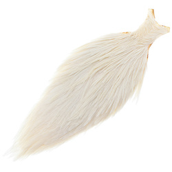 Collo di gallo FFGene, grado commerciale