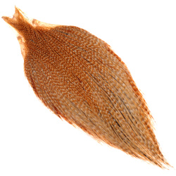 Collo di gallo Keough Hackle Masters