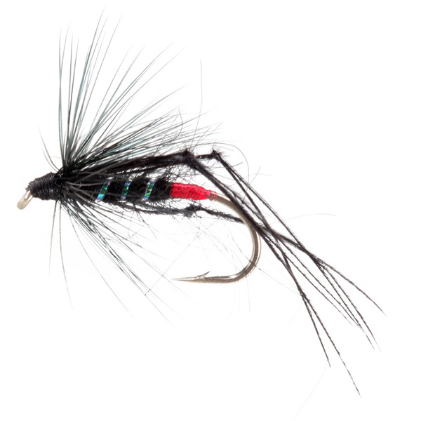 Bristol Hopper Nero Rosso