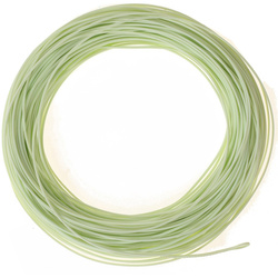 Coda di topo Negnon Omega Orionis ULT Presentation