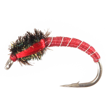 Cicalino Blackstone Rosso