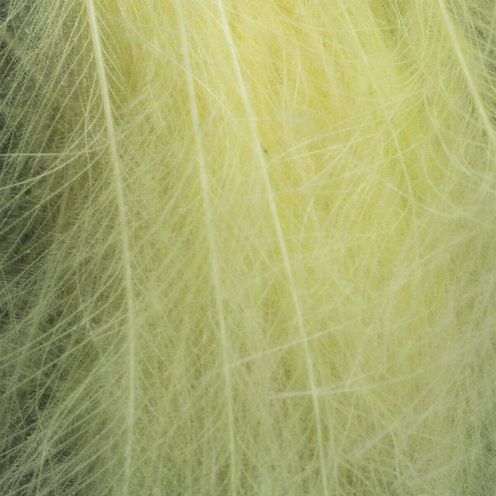 Ginger