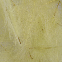 FFGene Piume CDC colorate 1 gr