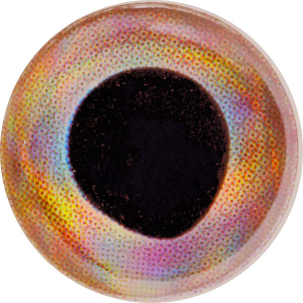 Occhi per mosche FFGene FF Gene Living 3-D Eyes
