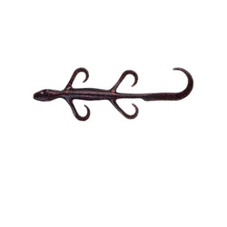 Esca morbida Yum Lizard YL6 15.2 cm (10 pz)