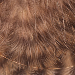 Hareline Piume da hackle morbida Grizzly