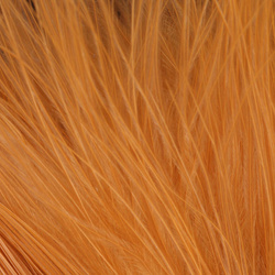FFGene Wooly Bugger piume di marabù Blood Quill (7-10 cm)